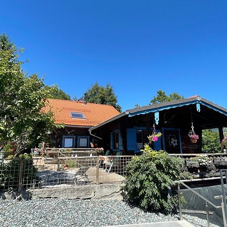Haus Ebenberghof Apartment Zell am See Ngoại thất bức ảnh