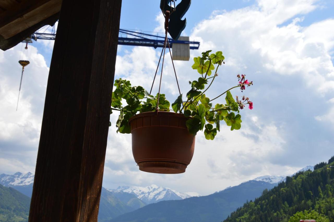 Haus Ebenberghof Apartment Zell am See Ngoại thất bức ảnh